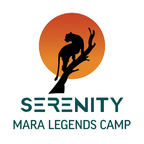 Serenity Mara Legends Camp